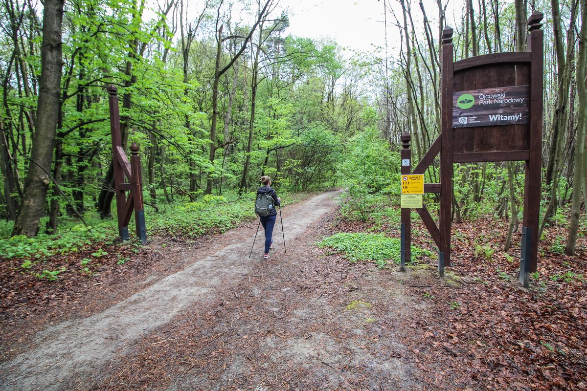 Ojcowski Park Narodowy 