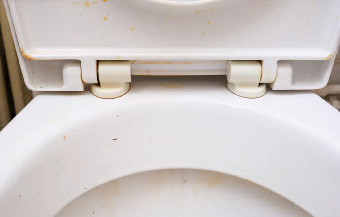 Using garlic to keep your toilet clean: An affordable, effective, and green alternative