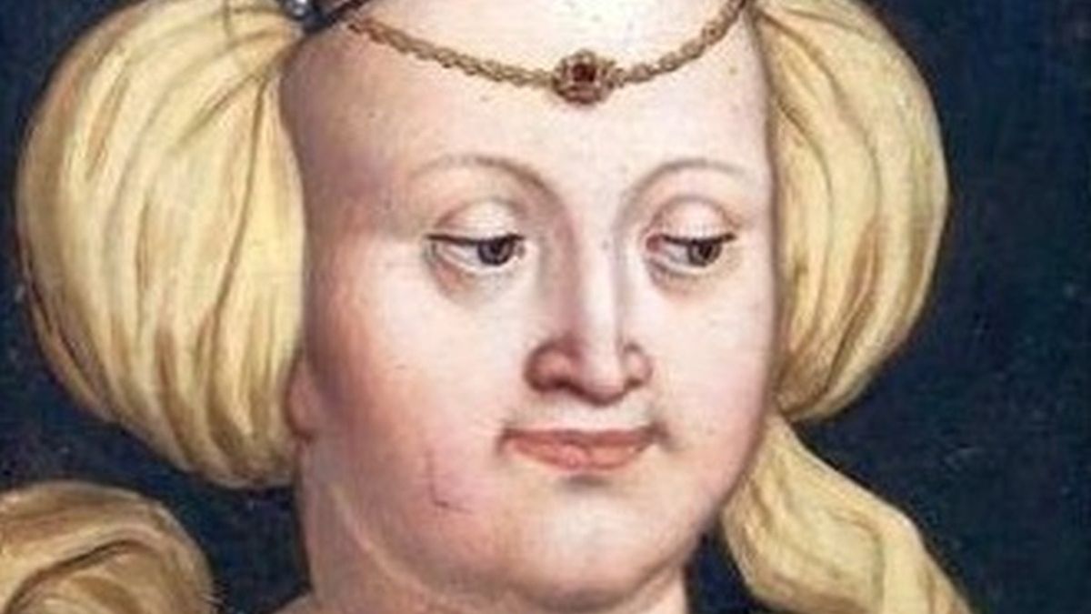 Elżbieta Rakuszanka pochodziła z domu Habsburgów co widać po charakterystycznej dolnej wardze.