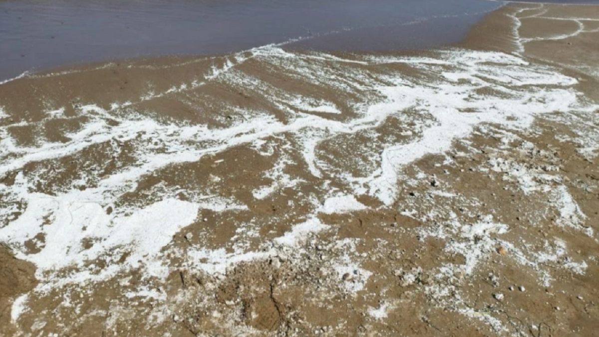 Nieznana substancja pojawiła się na kilku plażach.