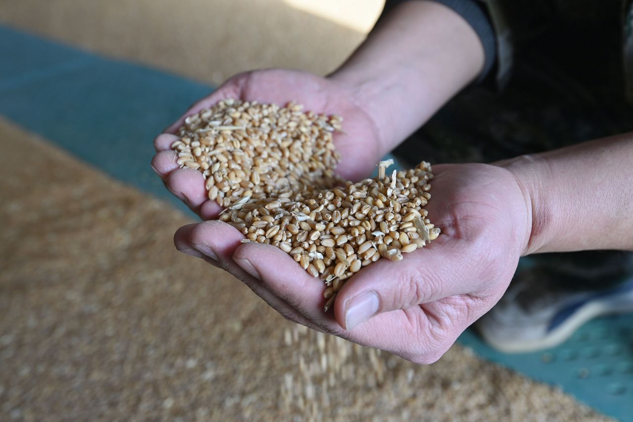 Zakaz nie taki szczelny. KAS o pewnym wyjątku