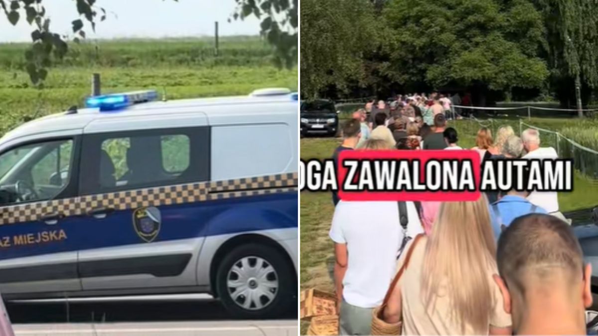 Mnóstwo osób przyjechało po truskawki.