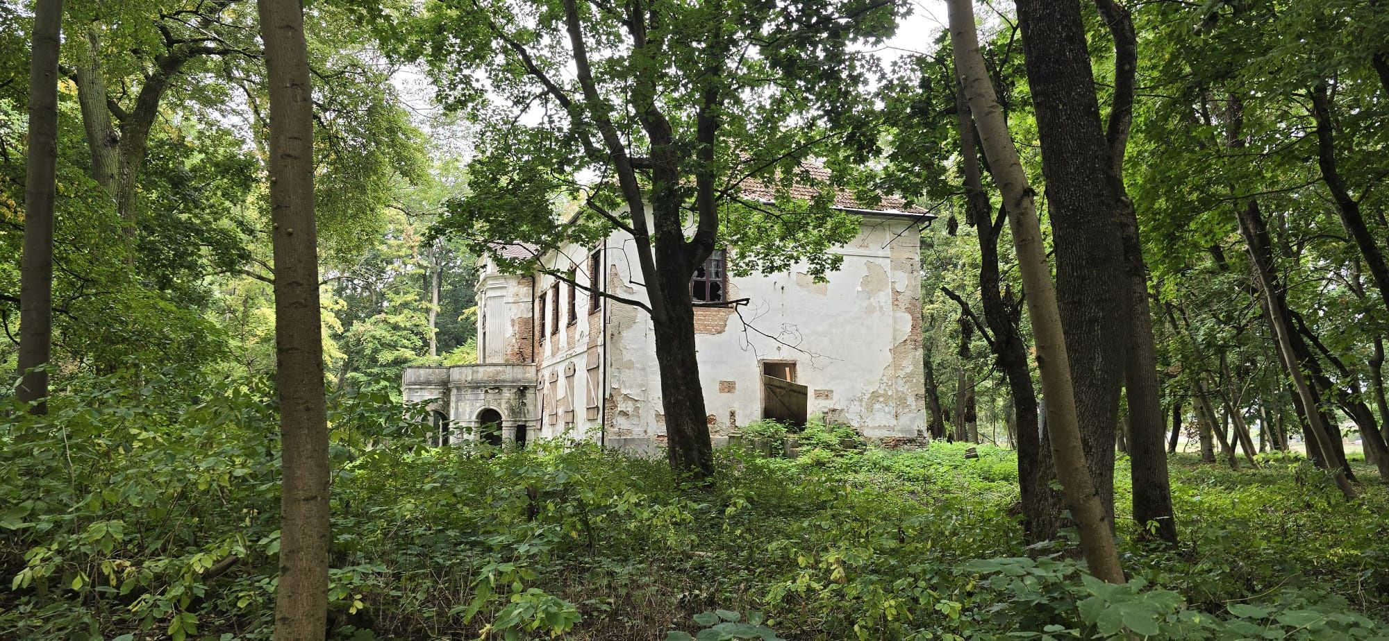 Pałac Bromirskich 