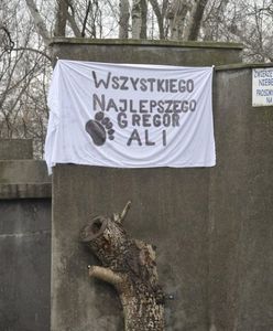 Urodziny niedźwiadków w warszawskim ZOO. "Najbardziej spodobał się udziec wołowy" [GALERIA]
