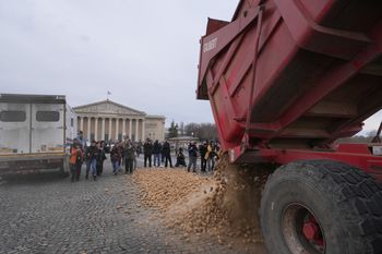 Ziemniaki na bruku. Trwają protesty w sercu Paryża
