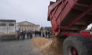 Ziemniaki na bruku. Trwają protesty w sercu Paryża