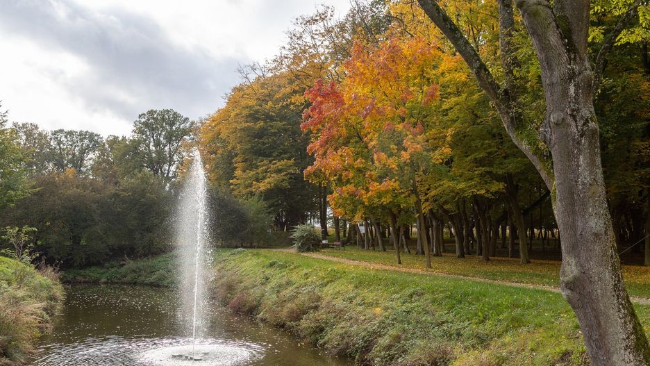 Park w Zadzimiu &#34;Dereniowy Skarb&#34; jesienią.