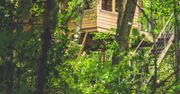 Ceny od 340 zł za noc, a kalendarz rezerwacji i tak wypełniony po brzegi. Nie tylko dzieci marzą o spaniu w domku na drzewie