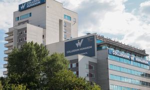 Koniec fikcyjnych MBA. Resort szykuje czystkę w spółkach