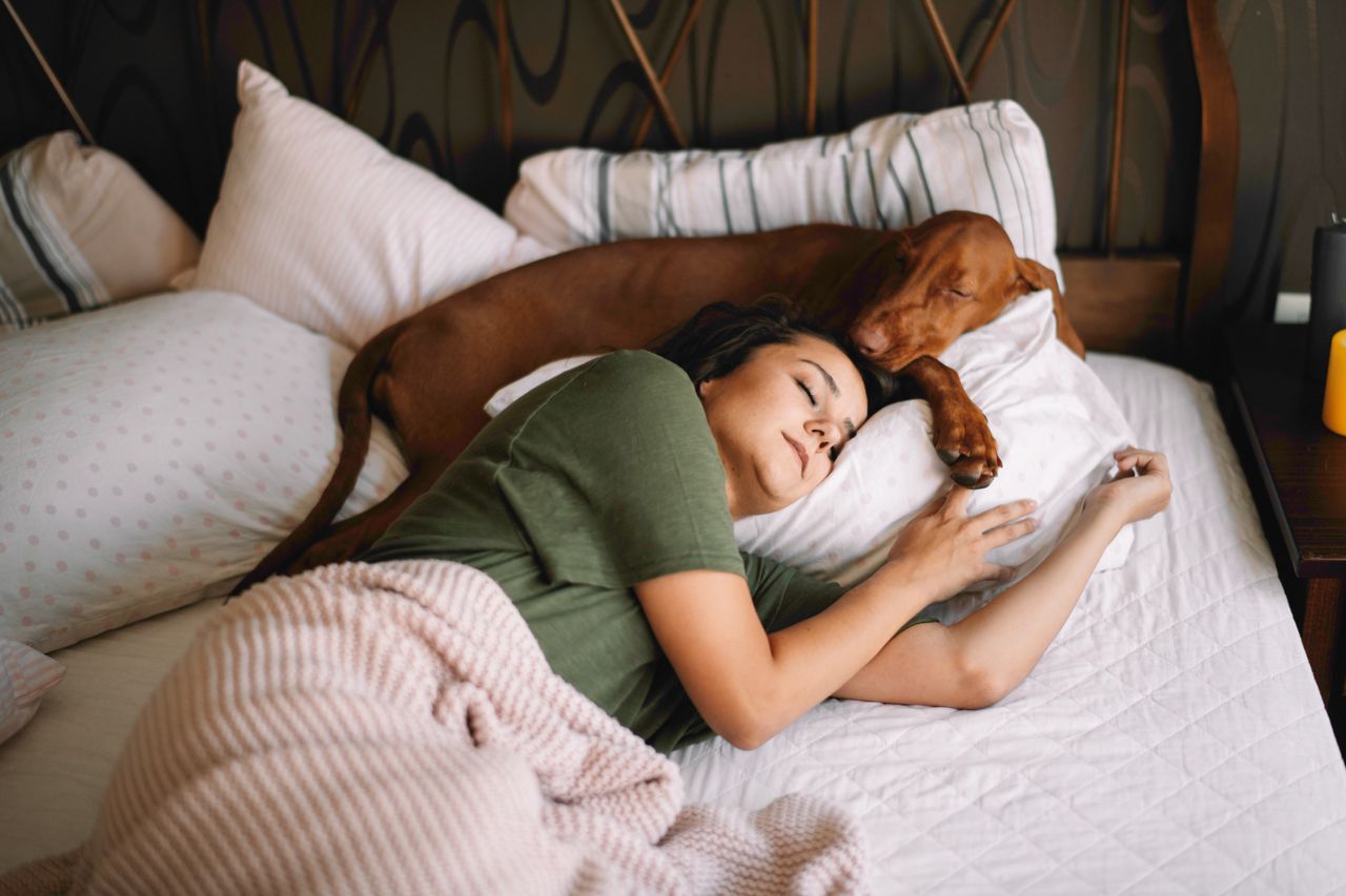 Exercise caution when sleeping in bed with a dog.