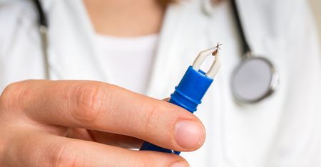 Nowy gatunek kleszcza w Polsce? Może przenosić groźne wirusy