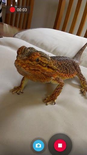 Weekendowy Zestaw Gier i Aplikacji: świetne Anomaly Korea, przydatny klient 4Shared i SnapCamera 25