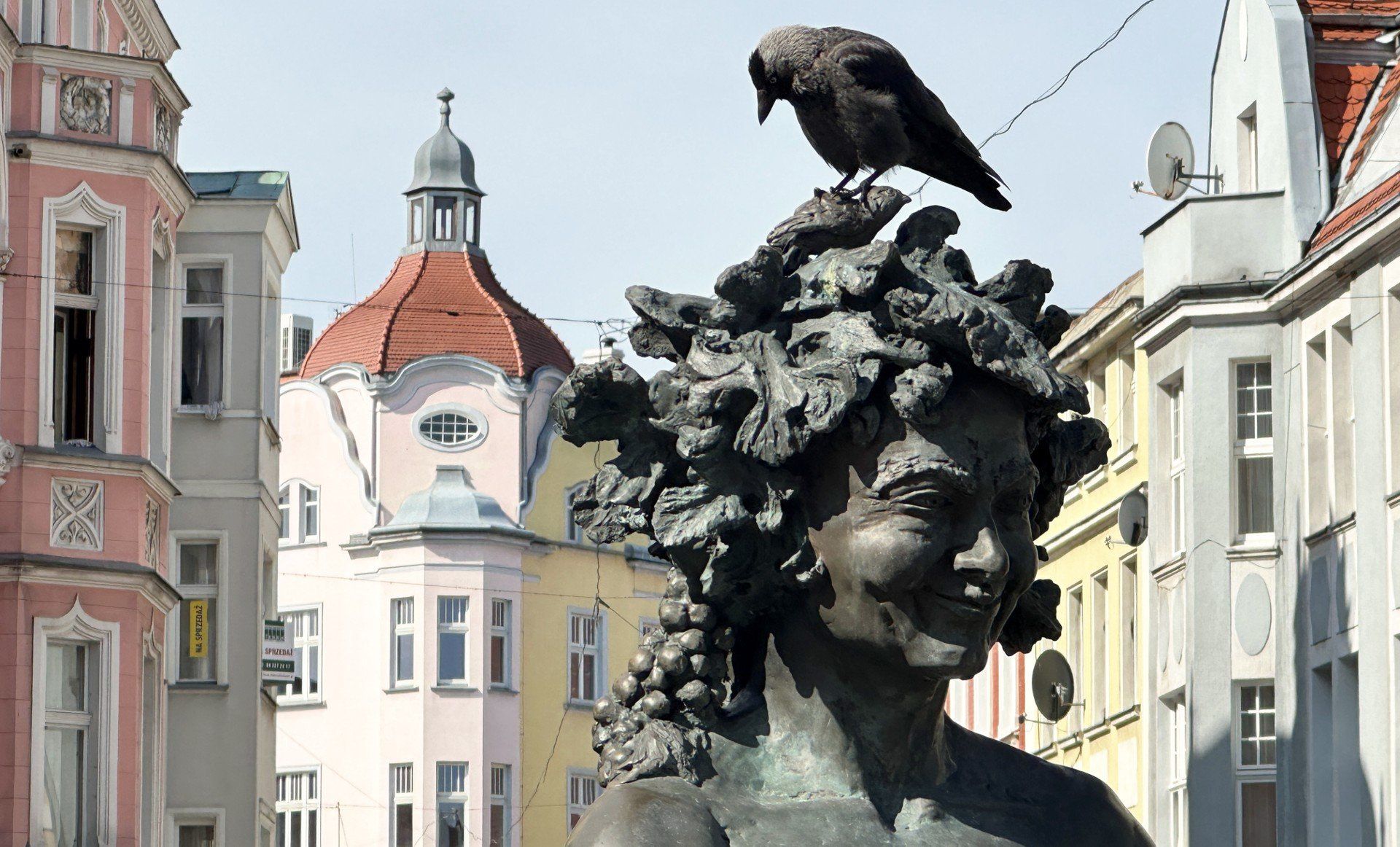 W Zielonej Górze mieszka prawie 140 tys. mieszkańców