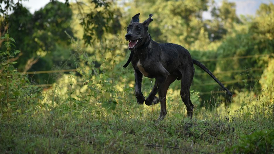 / zdjęcie ilustracyjne
