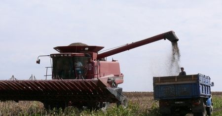 Fitch obniżył rating IDR Agrotonu