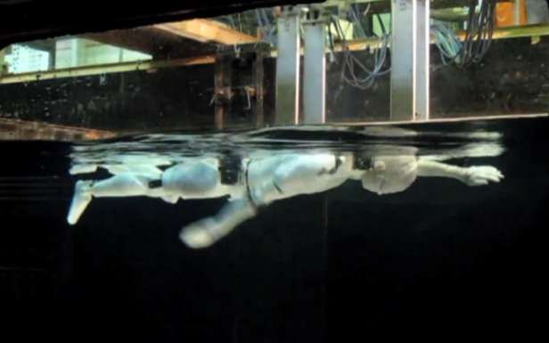 Swumanoid - japoński robot pływa prawie jak Otylia [wideo]