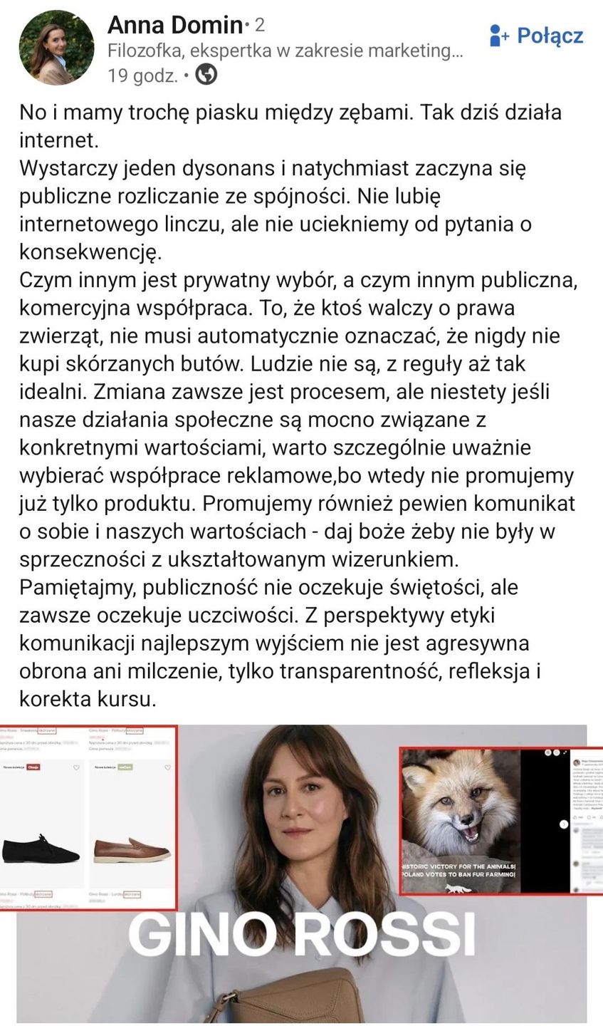 screen LinkedIn Anna Domin