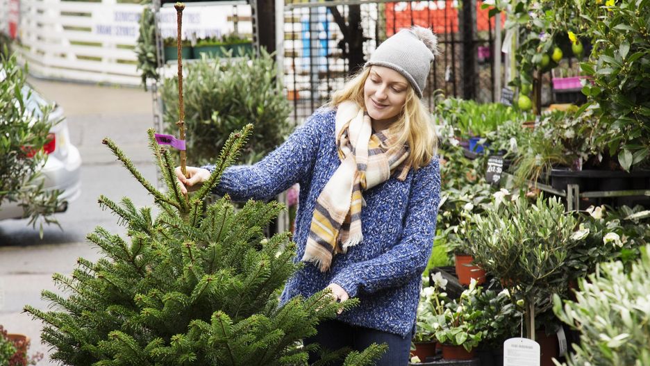 Woman chooses a christmas tree, standing in urban garden center.
Betsie Van der Meer