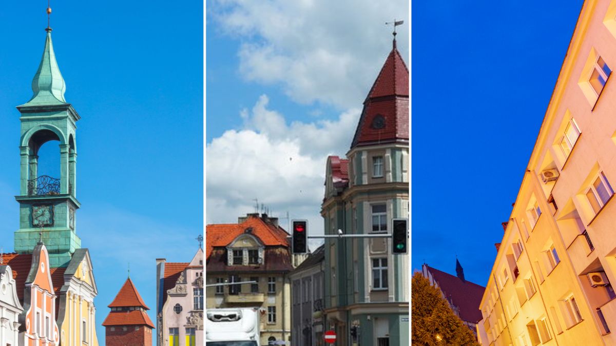 Kto zyskał największe poparcie w województwie opolskim?