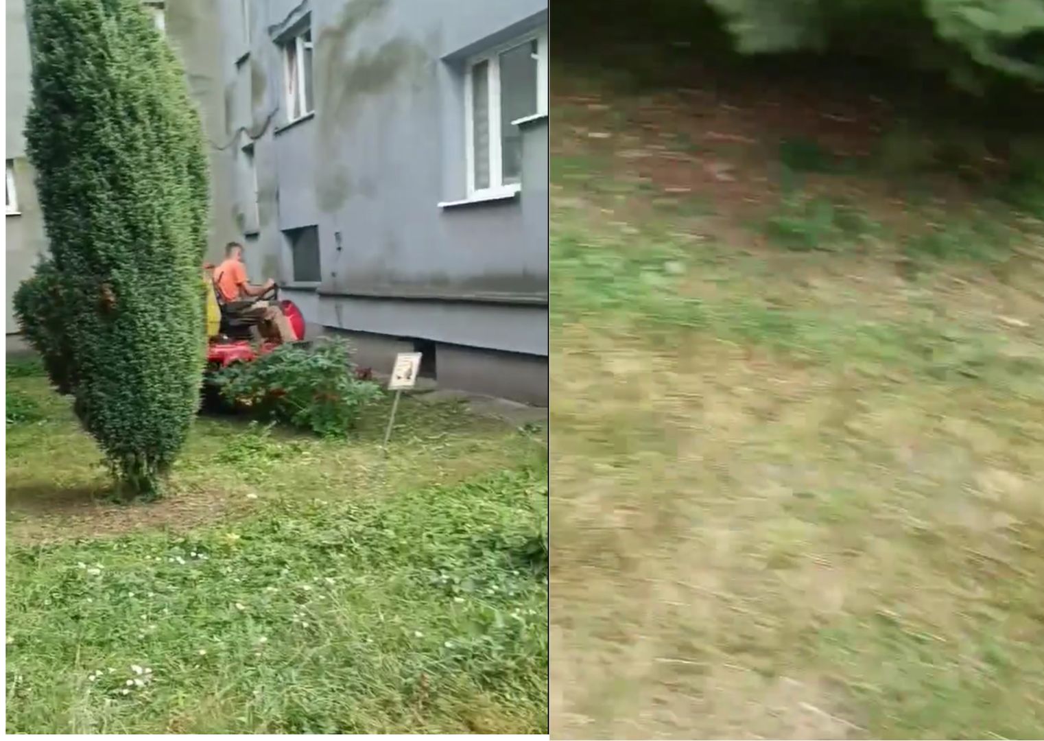 Pokazał filmik z koszenia trawy, w sieci szybko rozpętała się burza