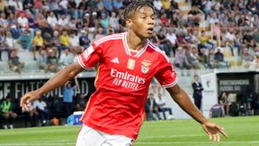 Typy na dziś | 29.12.2023 r. | Analizy bukmacherskie na piłkarski piątek