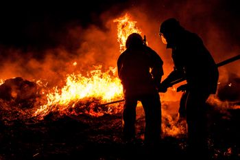 Strażacy ratowali zwierzęta i mienie. Nocny pożar w Rąbieniu