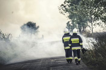 Duży pożar lasu koło Świdnicy. W akcji samoloty gaśnicze