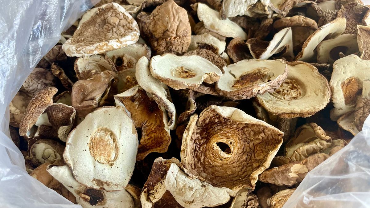 Do tej potrawy najlepsze są kapelusze suszonych prawdziwków