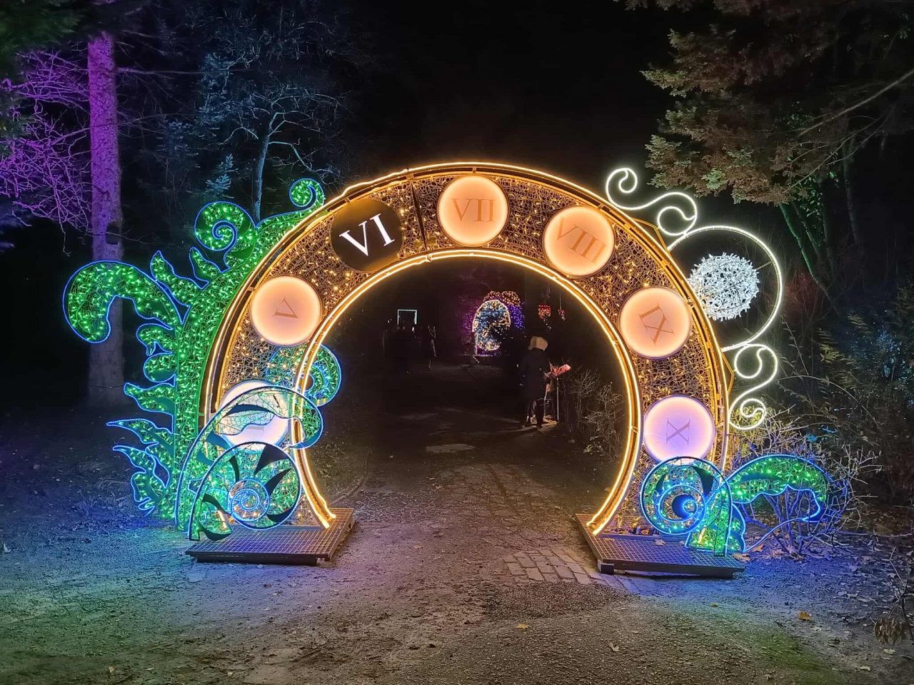 Lublin: Alicja w Ogrodzie Czarów oświetliła botanik. Wyjątkowy Park Iluminacji