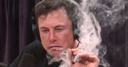 Elon Musk: "Obalimy, kogo chcemy". Ten i inne grzechy "złotego chłopca" technologii