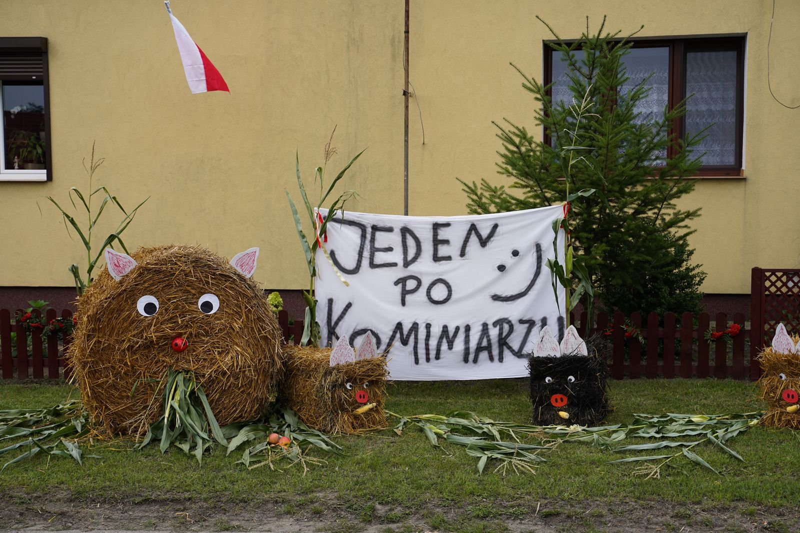 zdjęcie