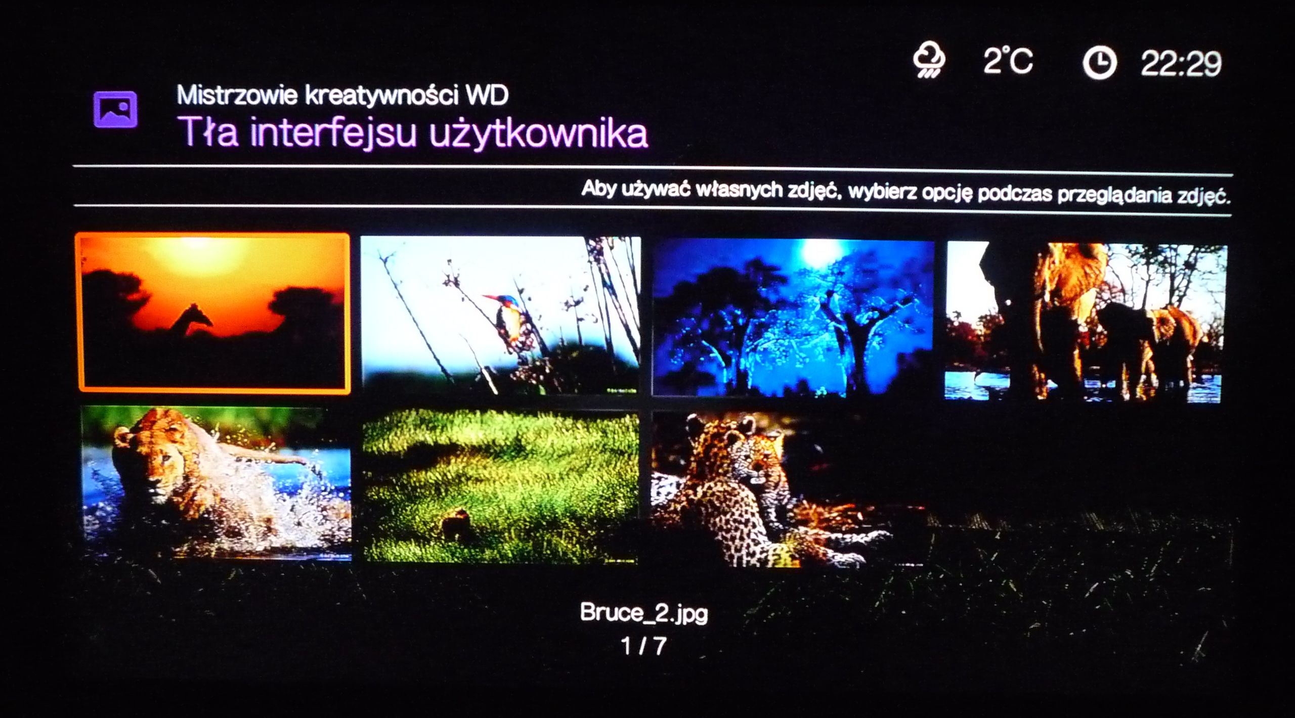 WD TV Live – rozrywka w rozdzielczości HD [test] 10
