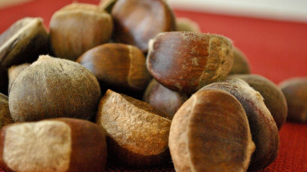 Suszone kasztany europejskie ze skórką