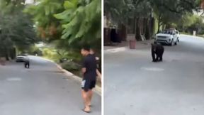 Miał córeczkę na rękach. I nagle takie sceny. Powiało grozą