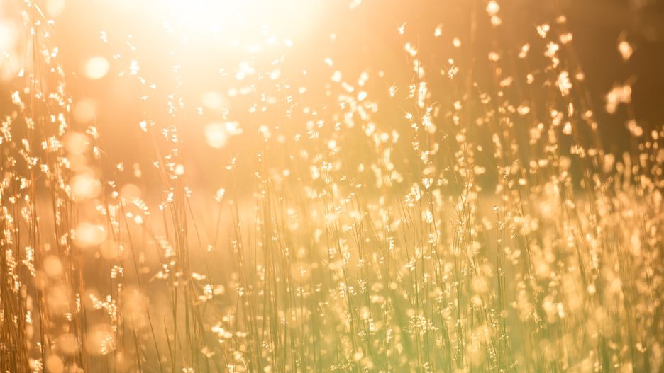 Pogoda. W niektórych rejonach Polski pojawi się sporo rozpogodzeń