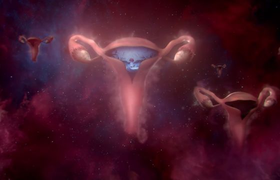 Bodyform pokazuje całe spektrum doświadczeń z macicą (wideo)