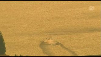 Hektary ziemi płoną w Oregonie; w Eldorado ogień zajął park narodowy