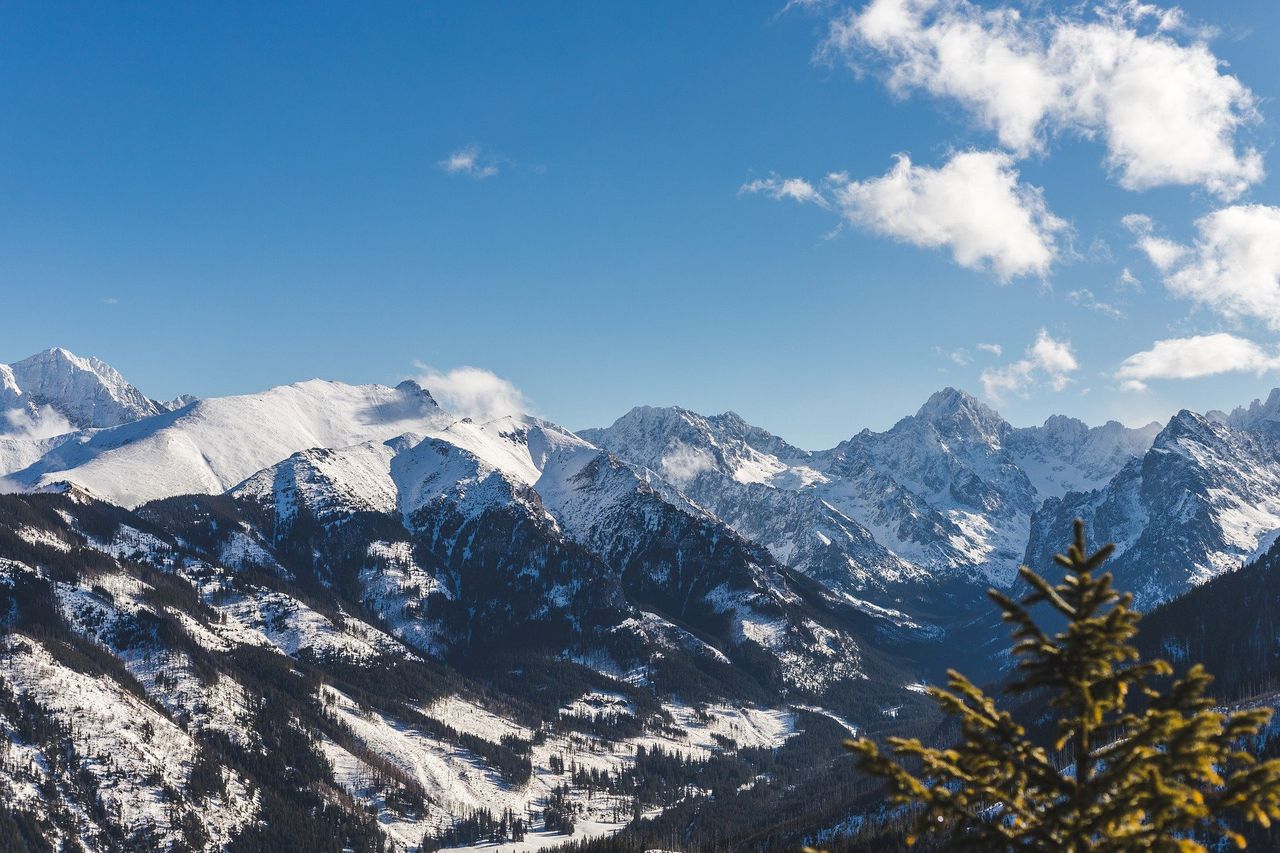 20 lat po tragedii. Tatry nie zapomną ofiar lawiny, która pochłonęła 7 licealistów i opiekuna z Tychów