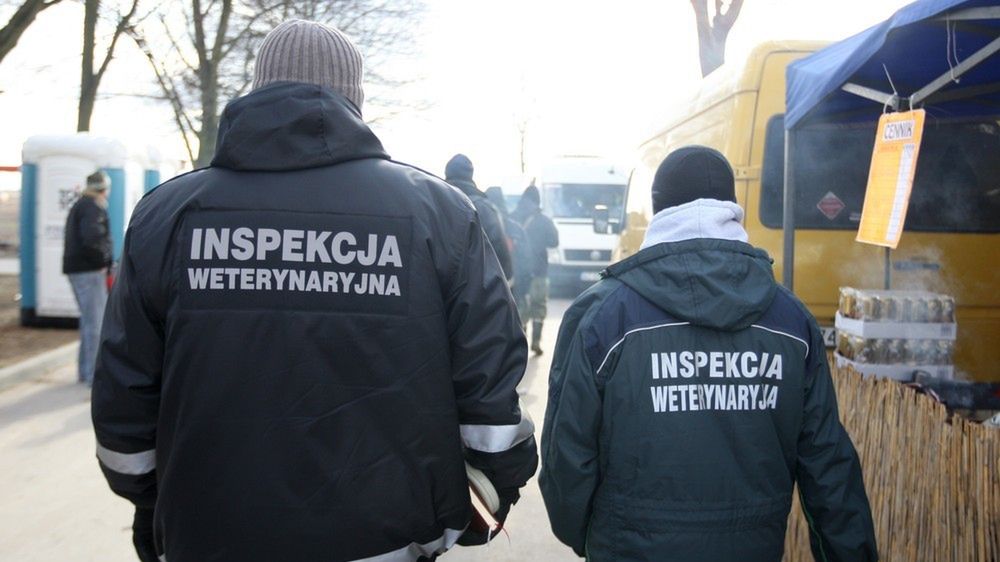 Weterynarze z inspekcji mają dość i domagają się podwyżek.