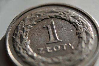 Złoty zmienił kurs po decyzji RPP. Jedna waluta mocno zyskuje
