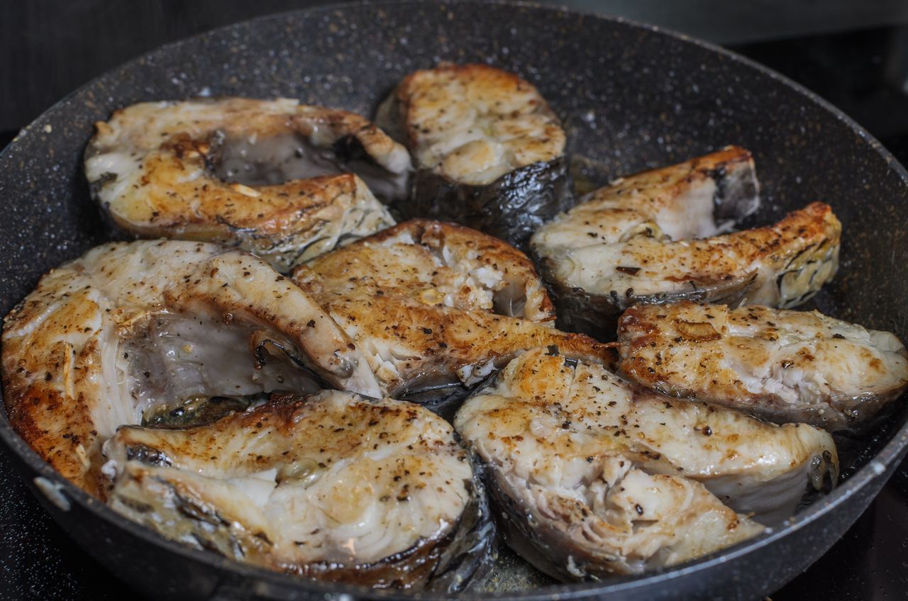 Kiedyś jadło się zamiast karpia, dziś mało kto pamięta. Mięsista ryba niemal pozbawiona ości