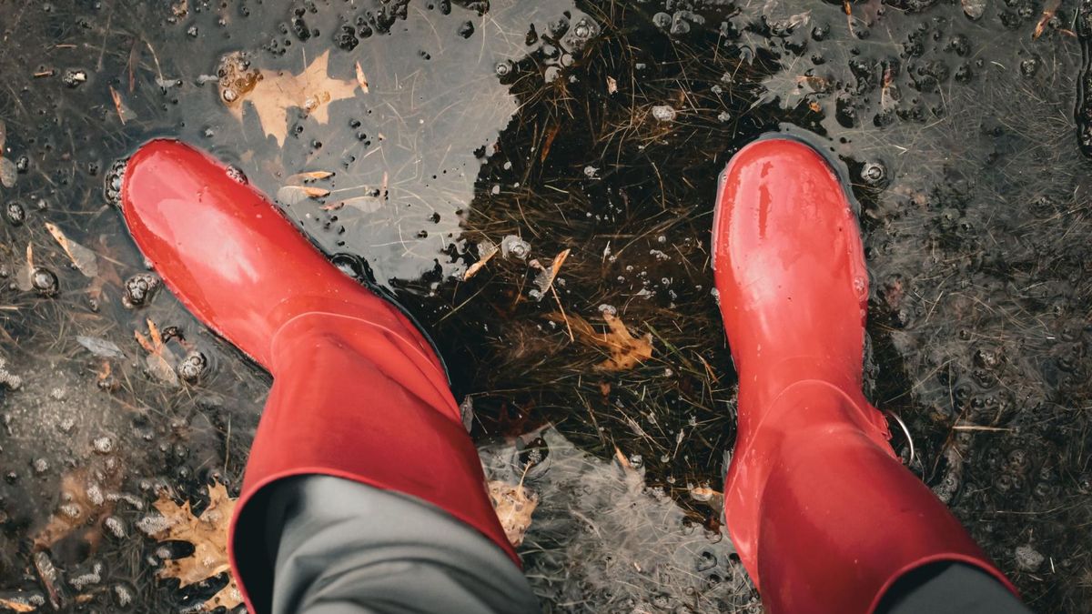 Zadbaj o odporność przed końcem lata i przygotuj się na jesień.