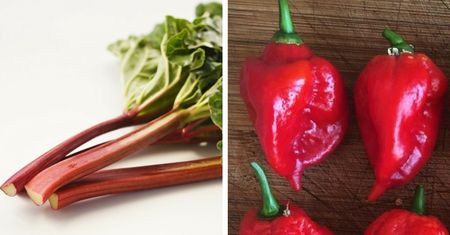 Oto 6 posiłków i produktów, które są niebezpieczne dla życia. Mimo , że są trujące, ludzie chętnie po nie sięgają