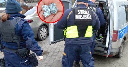 Straż Miejska skontrolowała 23-latka. Nie do wiary, co im pokazał