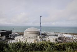 Francja stawia na atom. Mieszkańcy o ekologii i bliskości elektrowni jądrowej