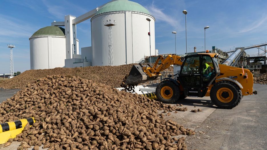 Rolnicy tracą opłacalna uprawę