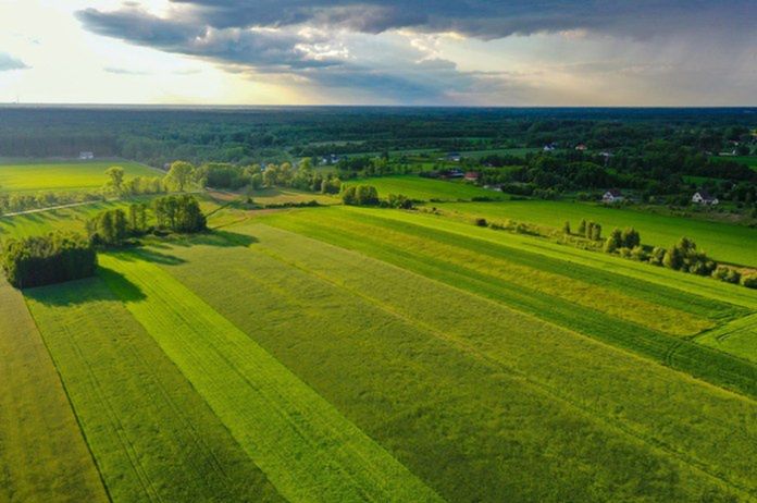 KOWR przyspiesza dzierżawę gruntów. Szansa dla gospodarstw rodzinnych