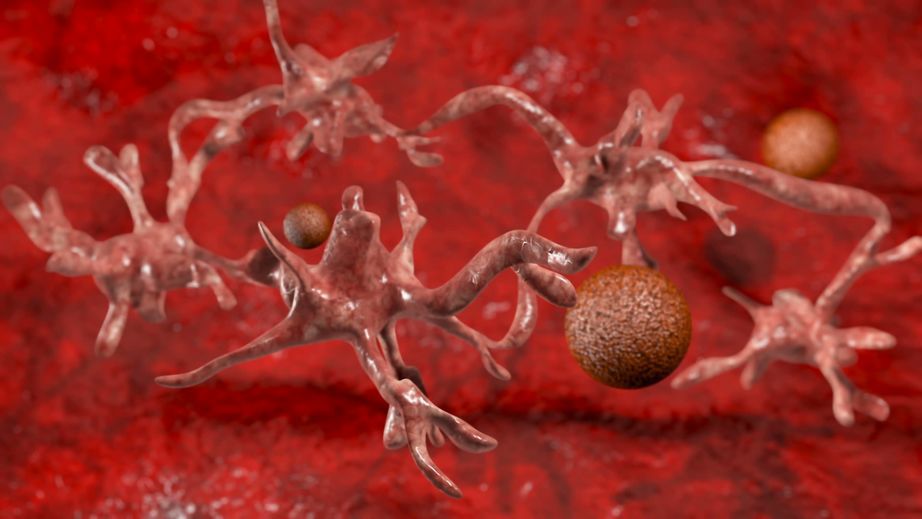 Niektóre nowotwory powodowane bakteriami lub wirusami można uznać za choroby zakaźne 
