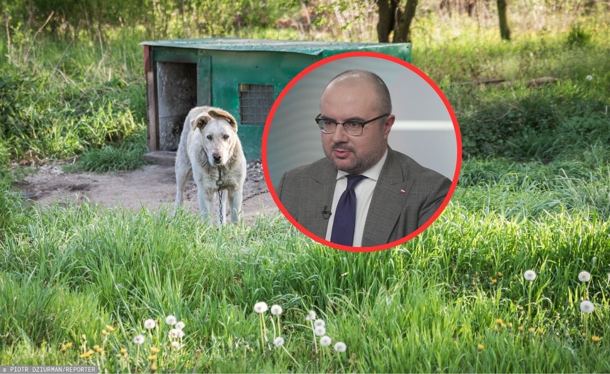 Spór o "ustawę łańcuchową".  Poseł PiS tłumaczy swój sprzeciw