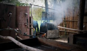 Leśna fabryka bimbru zlikwidowana. Produkowała 3 tys. litrów tygodniowo